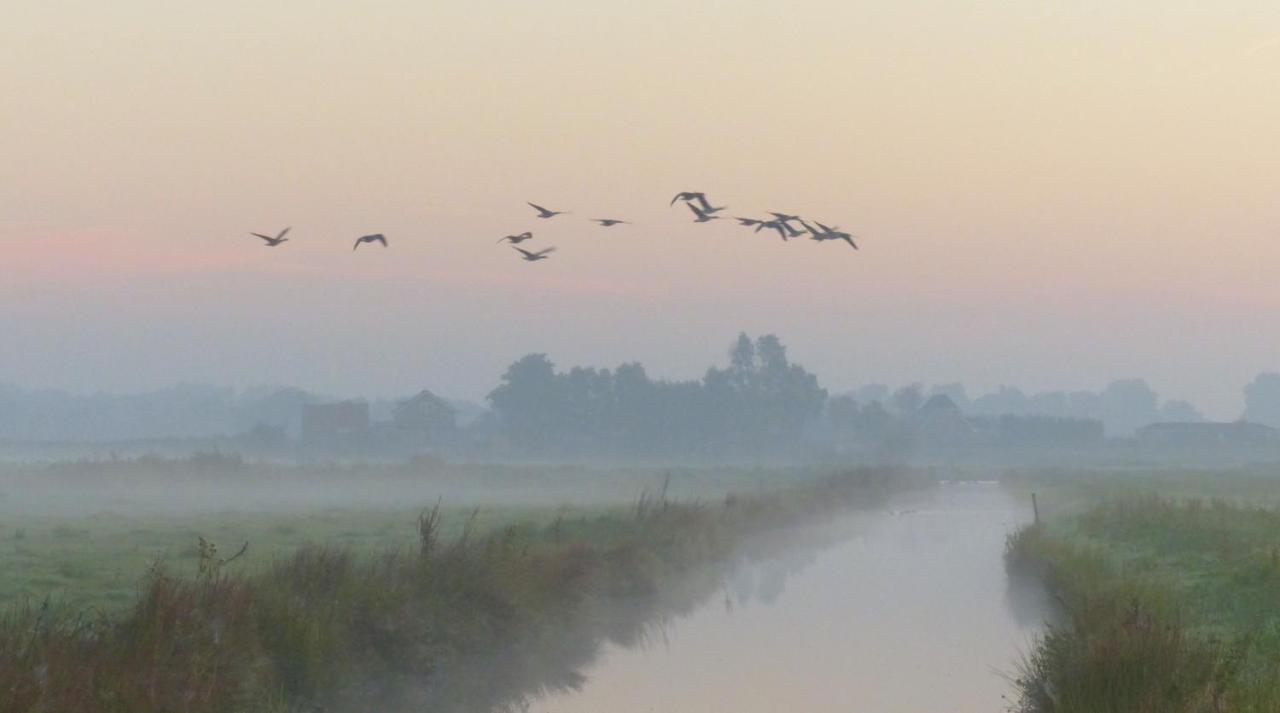 Polderlodge Гіллеґом Екстер'єр фото
